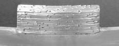 segment vskrit